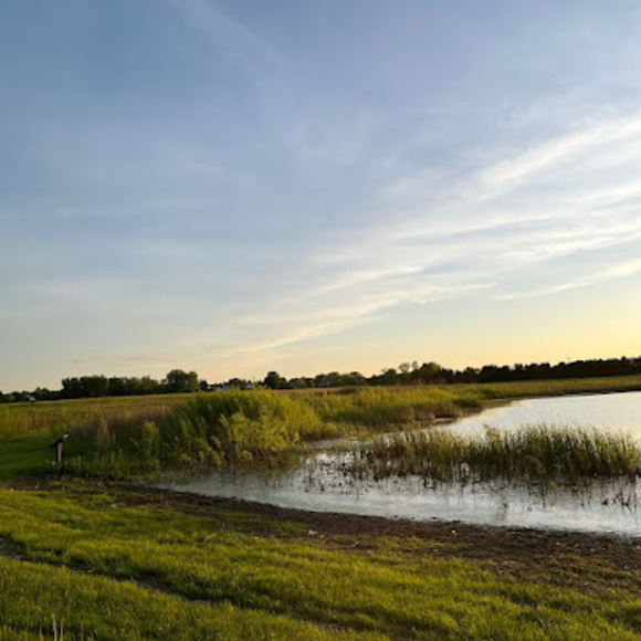 Meet your Posher, Kidman104 - Picture 1 of 1